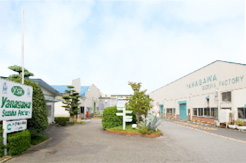 Suzuka Factory